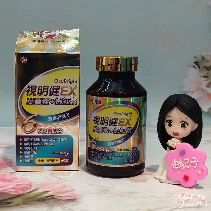 試用